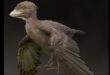 Dinozor kafalı kuş fosili bulundu